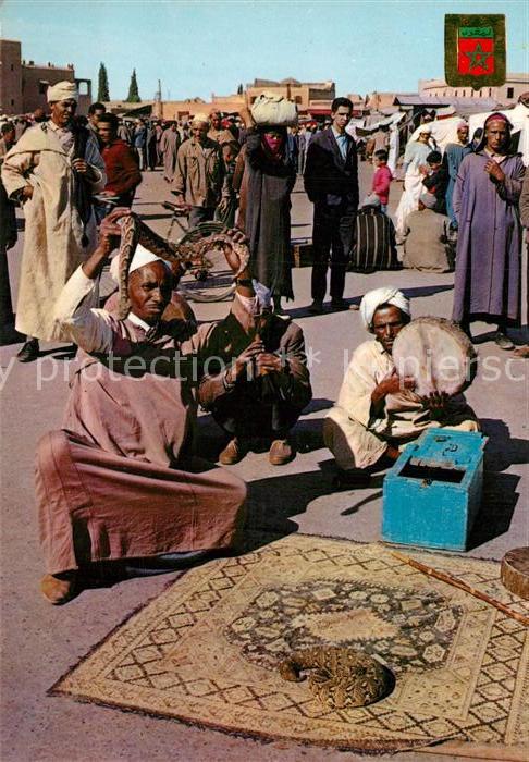Schlangen Tiere Dompteur de Serpents Maroc