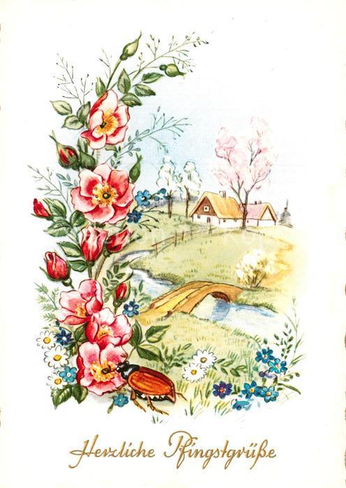 Maikaefer Cockchafer Hanneton Pfingsten Blumen