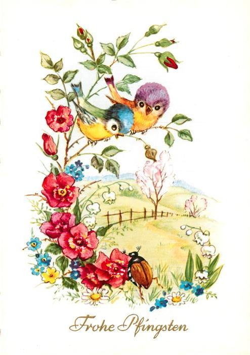 Pfingsten Pentecost Pentecote Maikäfer Blumen Vögel