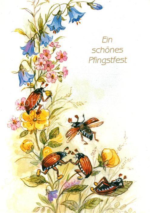Pfingsten Pentecost Pentecote Maikäfer Blumen