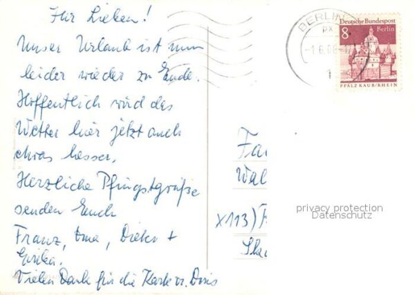 Maikaefer Cockchafer Hanneton Pfingsten – Bild 2