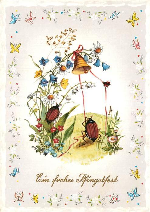 Maikaefer Cockchafer Hanneton Pfingsten Schmetterlinge Blumen