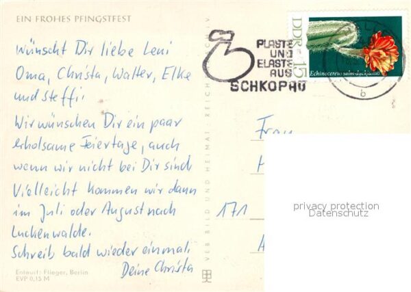 Maikaefer Cockchafer Hanneton Margeriten Pfingsten – Bild 2