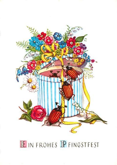 Pfingsten Pentecost Pentecote Maikäfer Blumen Geschenkbox