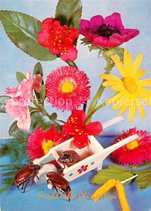 Pfingsten Pentecost Pentecote Maikäfer Blumen