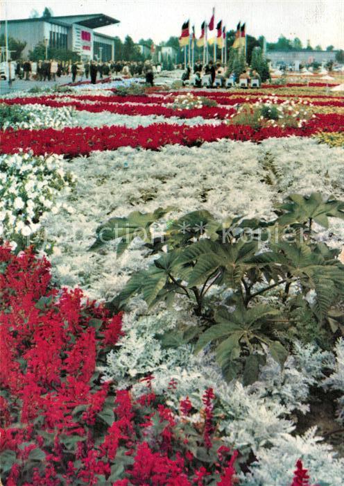 Gartenbauaustellung Erfurt Blumenbeet Festplatz