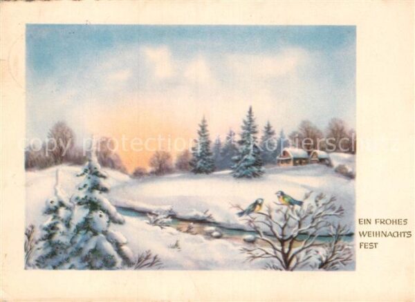 Weihnachten Blaumeisen