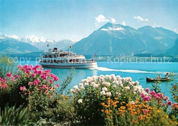 Motorschiffe Thunersee Blümlisalp Niesen
