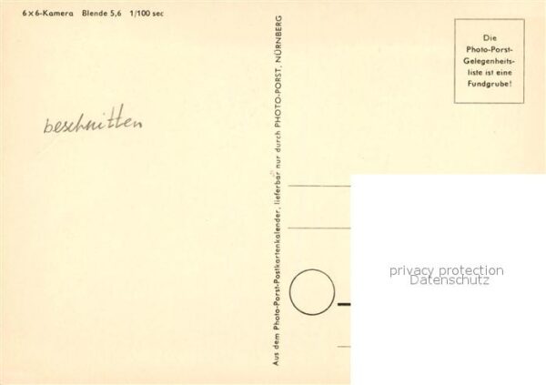 Schafe – Bild 2
