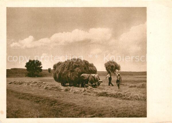 Ernte Landwirtschaft Heuernte