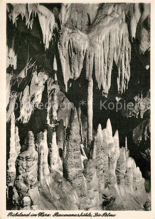 Hoehlen Caves Grottes Rübeland Harz Baumannshöhle Palme