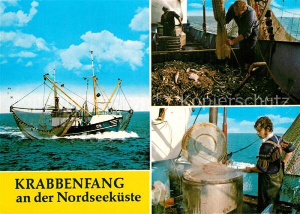Fischerei Krabbenfang Nordseeküste