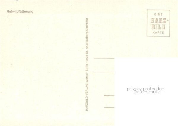 Hirsch Rotwildfütterung – Bild 2