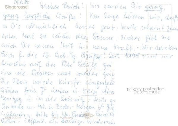 Voegel Singdrossel – Bild 2