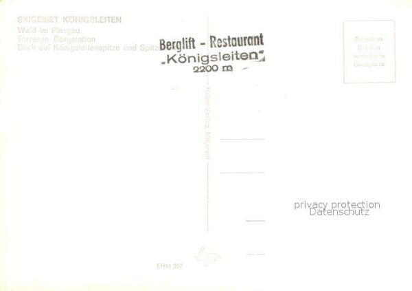 Wald Pinzgau Berglift Restaurant Königsleiten – Bild 2