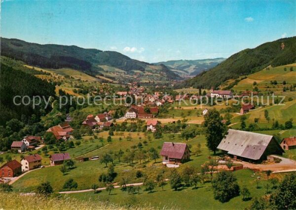 Simonswald Panorama