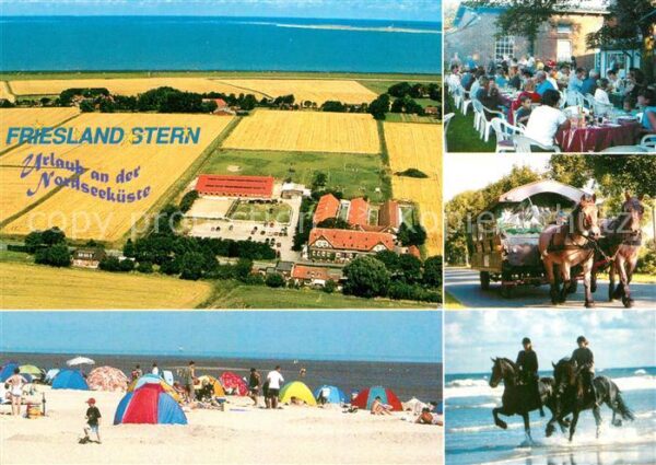Wangerland Friesland Stern Strand Pferde Fliegerau