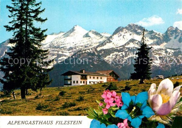 Filzstein Alpengasthaus