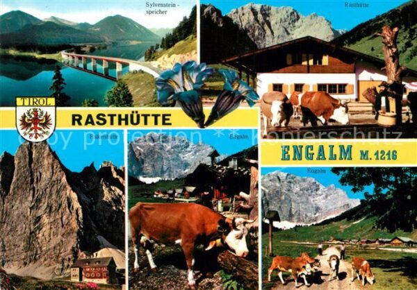 Engalm Rasth?tte K?he Sylvenstein-Speicher Ras