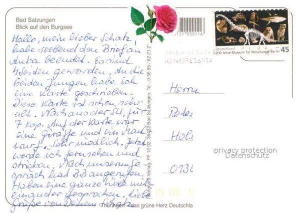 Bad Salzungen Fliegeraufnahme Burgsee – Bild 2