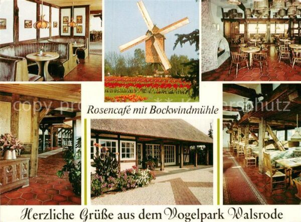 Walsrode Lueneburger Heide Rosencafe Bockwindmühle