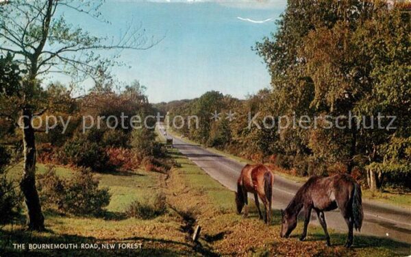 Christchurch Canterbury The Bournemouth Road New Forest