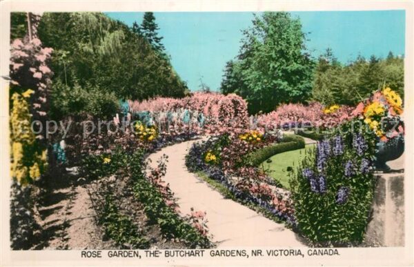 Victoria British Columbia Rose Garden The Butchart Gardens