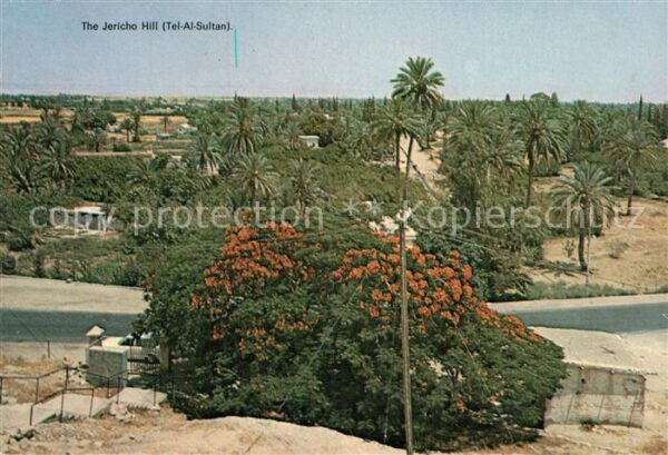 Jericho Israel The Jericho Hill Tel Al Sultan