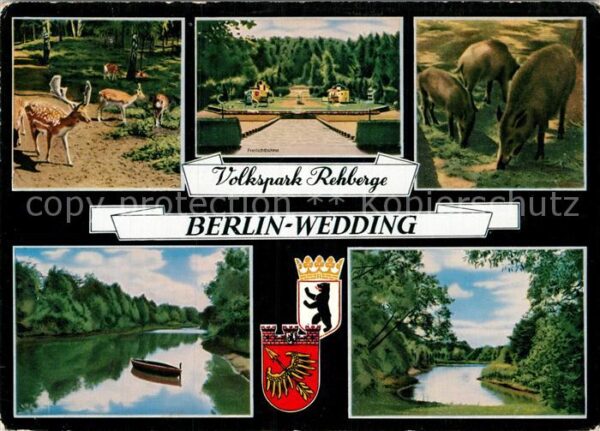 Wedding Volkspark Rehberge Tierpark Freilichtbü