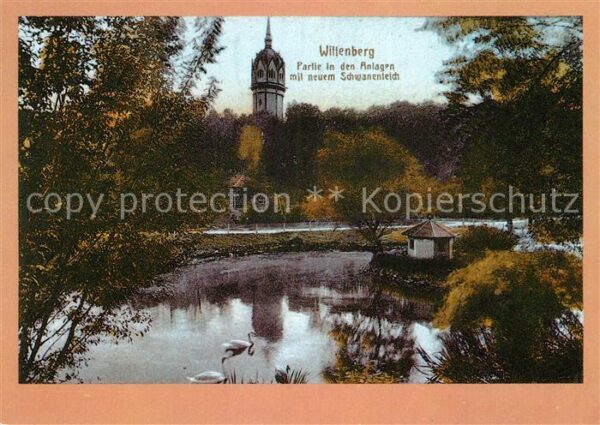 Wittenberg Lutherstadt Partie in den Anlagen mit neuem Schwane