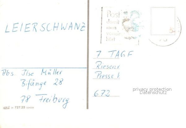 Freiburg Breisgau Historisches Kaufhaus Marktplatz Münste – Bild 2