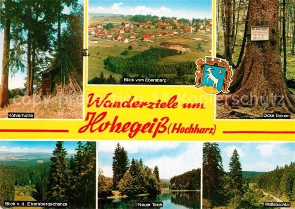 Hohegeiss Harz Köhlerhütte Panorama Blick vom Ebersber