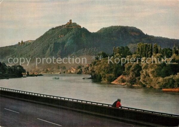 Remagen Drachenfels mit Insel Nonnenwerth Rhein