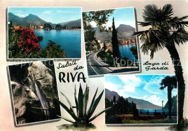 Riva del Garda Panorama Gardasee Uferstrasse Kaktus Pa