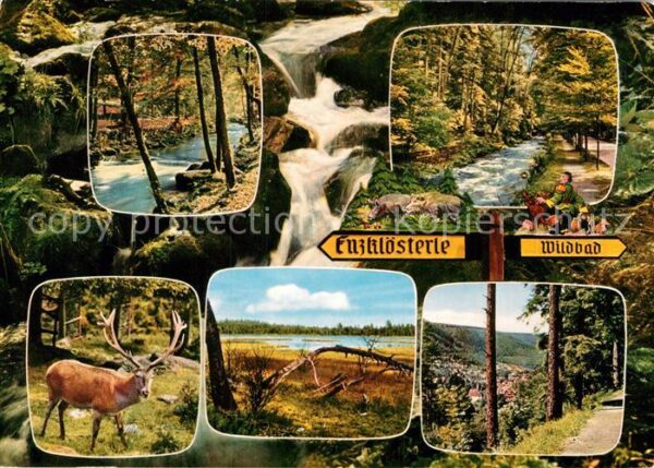 Enzkloesterle Waldpartie Bergbach Wasserfall Hirsch L