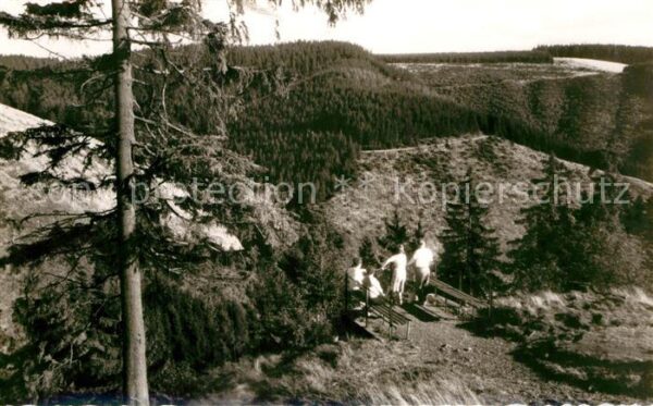 St Andreasberg Harz Partie an der Rosstrappe Landschaftspan