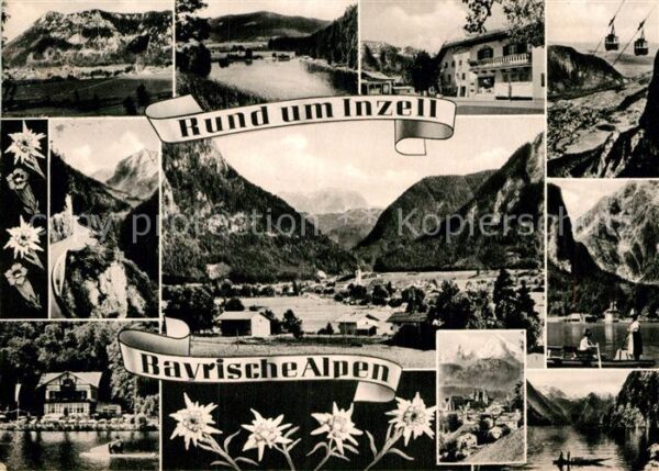 Inzell und Umgebung Bayerische Alpen Edelweiss