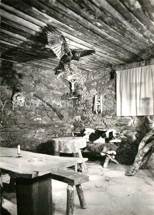 Bad Hofgastein Berghütte Gaststube Jagdtrophäe Vogelpr