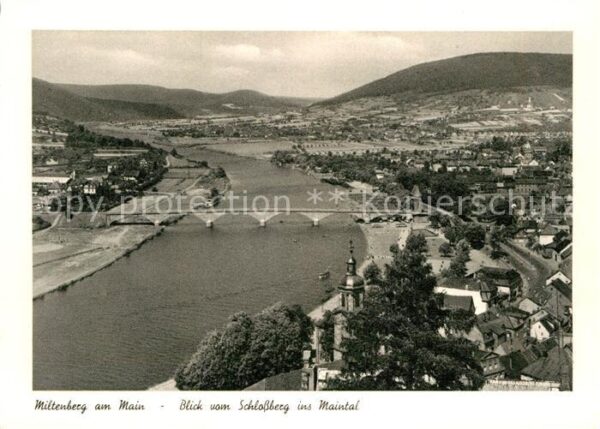 Miltenberg Main Panorama Blick vom Schlossberg ins Main