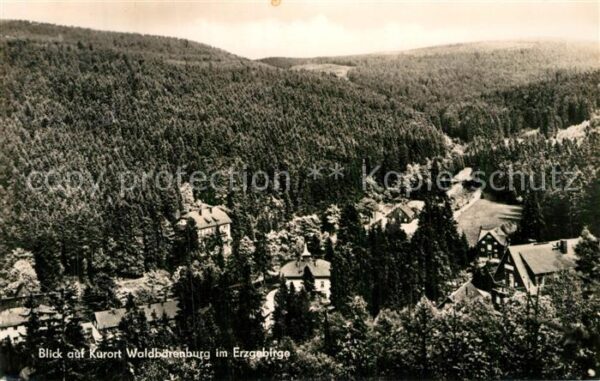 Waldbaerenburg