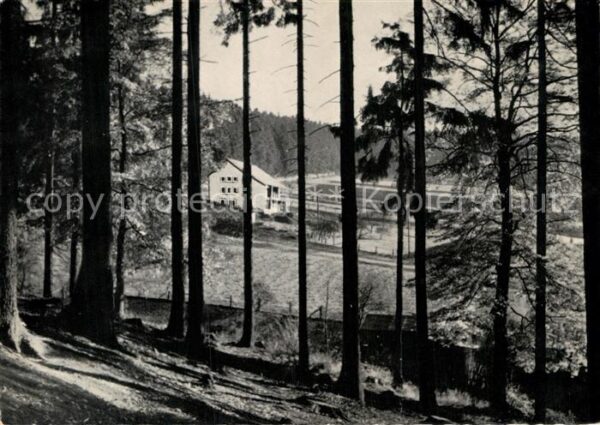 Fohlenplacken Waldcafe Rübezahl