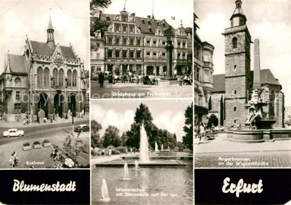 Erfurt Rathaus Gildehaus Fischmarkt Angerbrunn