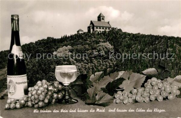 Weinheim Bergstrasse Wachenburg Bergrestaurant