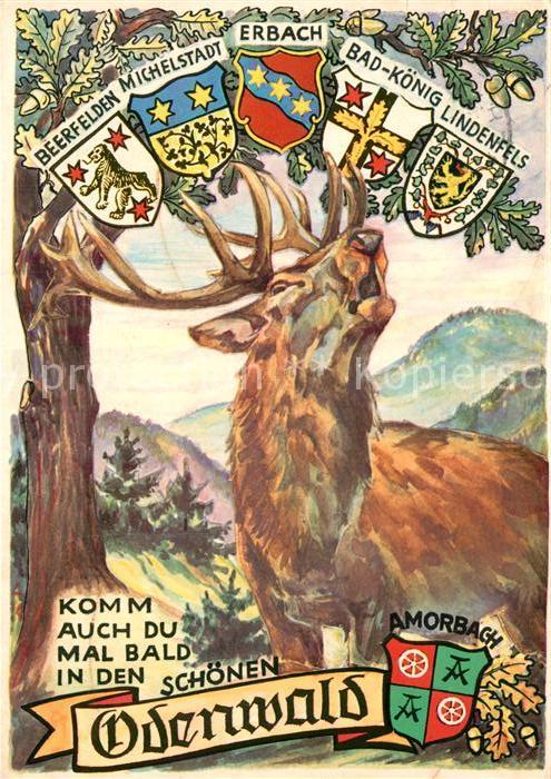 Odenwald Illustration mit Wappen Beerfelden Mich