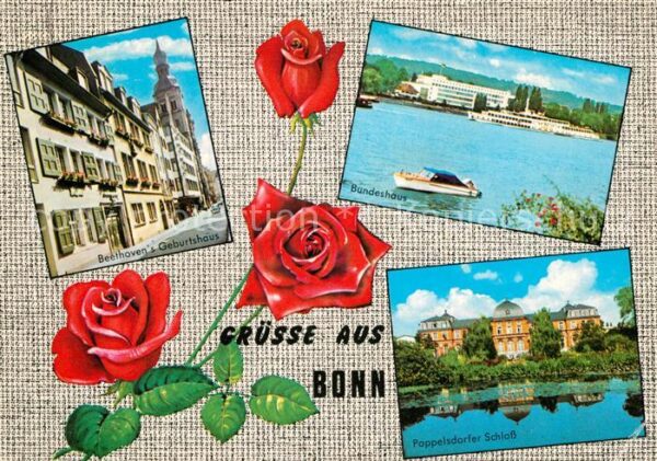 Bonn Rhein Beethovens Geburtshaus Bundeshaus Pappe