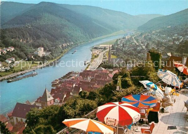Hirschhorn Neckar Blick von der Schlossterrasse