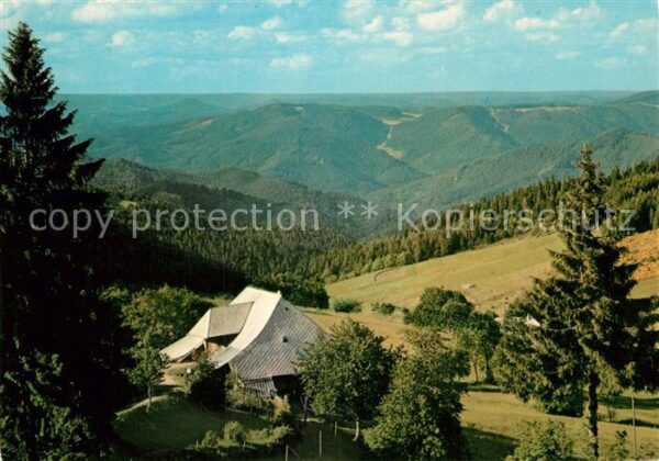 Schonach Schwarzwald Holzeckblick