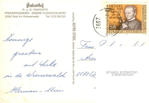Sulz Weinviertel Sulzerhof Terrasse – Bild 2