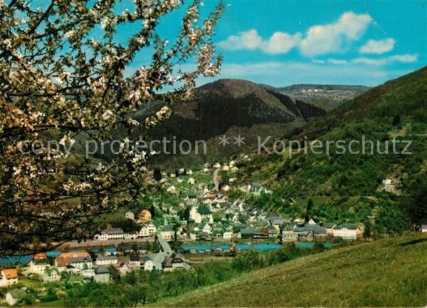 Dausenau Panorama