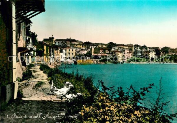 Pescantina